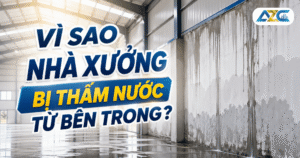 vì sao nhà xưởng bị thấm từ bên trong